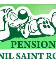 CHENIL SAINT ROCH image 2