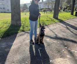 Dog & Picture image 11