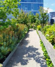 Les Jardins de Gally - Grand Ouest image 3