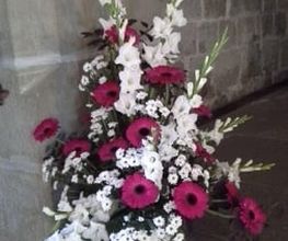 FABY JARDIN Bild 12