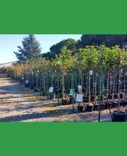 Notre Jardin Propre image 17