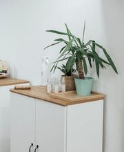 The Black Poodle Groom & Care S.L. imagen 5