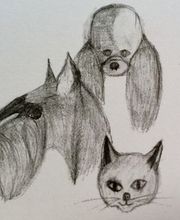 Hundesalon Emmensteg Bild 2