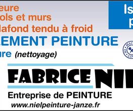 Fabrice Niel image 2