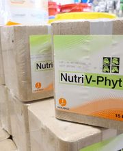 natera - Chateauneuf de Randon image 6