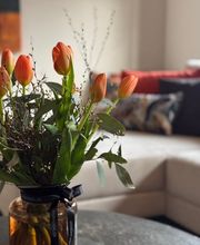 BAURAUSCH Interior Design & Baumanagement Bild 8