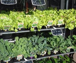 Au Jardin De Pre-Vert image 8