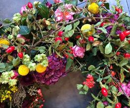 Blumen Meyer Bild 6