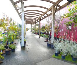 Point Vert Le Jardin image 6