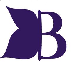 Pompes Funèbres Bertin