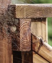 Nitro Pest Solutions, LLC image 11