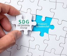 SD GmbH Brandschadensanierung und Wasserschadensanierung Bild 3