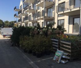 Hajo Rumpf Garten- und Landschaftsbau GmbH Bild 7