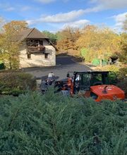 SIMOSEINE BTP image 7