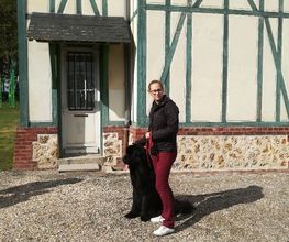DOG EDUC Academy image 2
