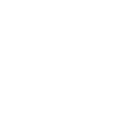 Elm Village Apartments