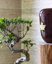 Jürgen Wick Bestattungen Bild 13