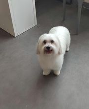 Tootsie image 6