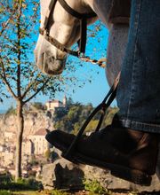 Ferme Equestre la Fontaine image 4