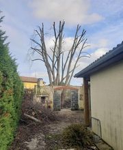 Arbroservice image 6