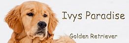 Ivys Paradise