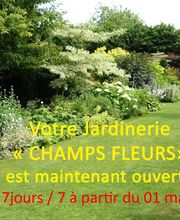 Jardinerie Champs Fleurs image 6