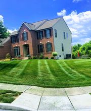 Shepherds View Landscaping & Tree Removal, LLC image 1