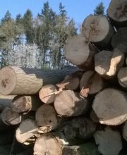 Bois Bûche Energie S.A.R.L. image 14