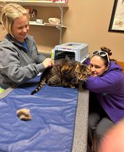 Veterinary Medical Center image 13