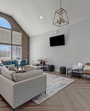 Elements of Madison Apartments image 16