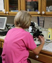 Crysler Animal Hospital image 8