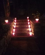 Blumen Schweizer Bild 7