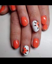 La Fée des Miracles image 13