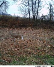 Legend Valley Outfitters image 20