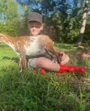 Spears Family Farm image 2
