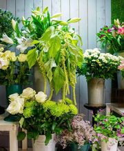 Brin De Nature image 19