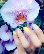 Beauté des neiges image 6