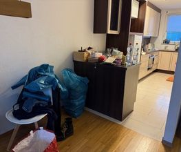 IMG_2222.jpeg