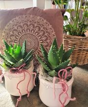 Bluemewerk Stoll Kerstin Bild 9