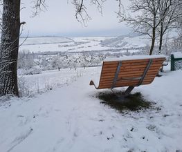 Sonnen-Sofa Bild 6