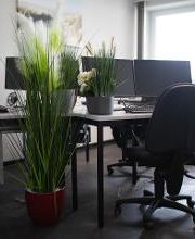 Heller Arbeitsplatz für Teilnehmende. Schreibtisch mit 2 Bildschirmen, Tastatur, Maus und Headset. Es stehen einige Grünpflanzen im Raum.