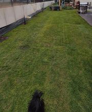 Gartenpflege Walterich Bild 1