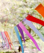 Beratungspraxis Andrea Burkhard  Familienberatung & Lerncoaching Bild 7