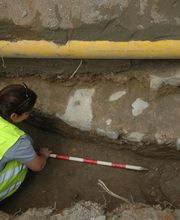 IN SITU SCP imagen 8