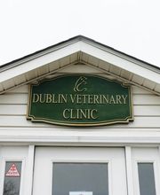 Dublin Veterinary Hospital image 3