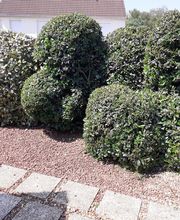 AlexJardin image 8