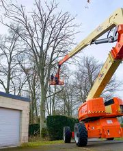 AEC Espaces Verts image 13