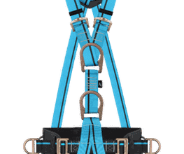 300004066-1-iX4MuVkx4J1783598038428.png