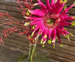Comptoir des Fleurs image 2