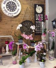 Nathalie Rousseaux image 1